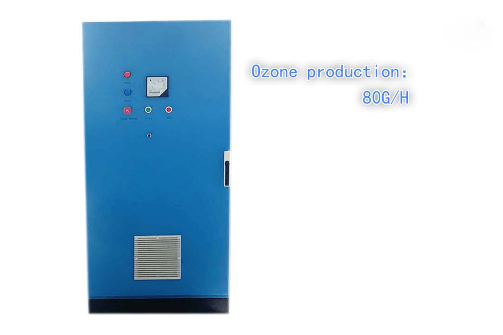 80g/h single-gate ozone generator